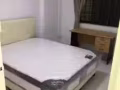 三巴旺大牌308，近地铁站，高楼安静通风，新装修普通房出租