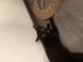 貓咪求領養