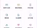 高薪聘全球海外金融財務轉帳達人(international transferri