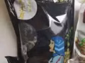 一些厨房用品，全部打包25新，淡斌尼自取
