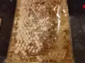 固态野生蜂蜜