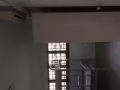 马西岭大牌8号