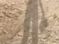 本人男，29岁，想找女性朋友