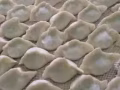 纯手工山东好味水饺