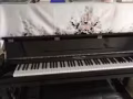 德國名牌鋼琴轉售