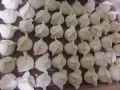 山东威海纯手工水饺，欢迎大家的光临，免费送到地铁站，