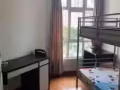 大巴窑公寓普通房出租
