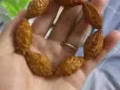 在家带来的橄榄核