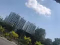本人在新加坡国内驾照求职司机单子轻松一点的  有意者加v  n-m110