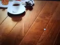 需要聘請（長期）清潔，煮飯阿姨