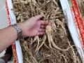 干粮杂货 药材批发 直接进口量大从优 本地公司品质保障