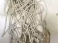 回國物品處理