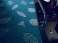 出售折叠单人床垫，可折叠。只用了两个月 有袋子。可带上公交车，地铁。质量非常好。