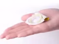 现货！香蕉计划 