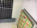woodlands Blk 892A普通房出租，靠近地铁站，走路5分钟 高楼，人