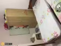 烏蘭大牌551 床位出租 一位女生  