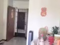 普通房出租