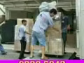 专业搬家货运服务