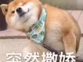 求阿裕尼附近双人间，第一个月只有一人入住