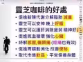 雙鶴靈芝咖啡-111咖啡創業計劃