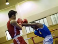 正宗詠春拳、拳击、泰拳课程。专业健身教练