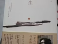 《人生》 路遥作品