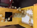 龙盘柱吊坠