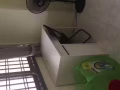 安静优质普通房出租