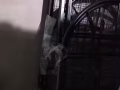 上下铺（出售+回收）单人床 衣柜 出售