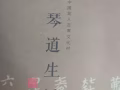 龍人古琴出售