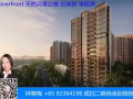 超大型河景公寓，步行去后港地铁 Riverfront Residences