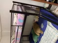 双层床架 Double decker
