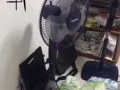 現有二手單人木床，電風扇，電視機，上下鐵床，四把椅子出賣，