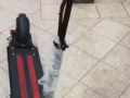 本人有一輛嶄新的滑板車要轉讓