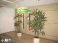 伯思海外學生教育中心---溫馨教師家庭優質環境-留學生的最佳選擇