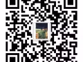 南洋艺术学院10年经验的设计师团队——设计加打印业务
