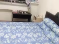 紫线榜鹅普通房162A16楼电话82081817