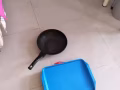出售一个炒锅