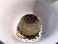 茶叶，金骏眉，铁观音，乌龙，大红袍，普洱，可试茶