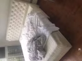 单双人床