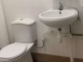 男女搭房都有，实龙岗，公寓租屋都有。