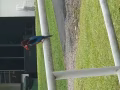 转让兼职
