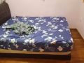 极速处理床和床垫