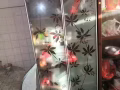 義順，6月1號自取！給錢就賣，廚房置物櫃，晾衣架，鞋架，單人床墊，上下鋪木床，