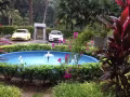 武吉巴督 Bukit batok Parkview公寓 主人房普通房出租