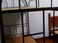 女搭房床位出租