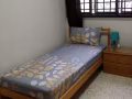 征求马来西亚女搭房 $300