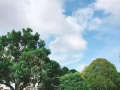招西海岸主人房女生床位一名