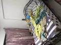 海军部地铁站附近单间招夫妻