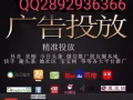 国内全网推广 效果说话